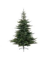 Novogodišnja jelka Grandis fir 120cm-91cm Everlands