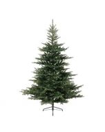 Novogodišnja jelka Grandis fir 150cm-111cm Everlands