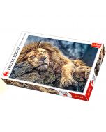 Trefl Puzzle Sleeping Lion 1000 kom