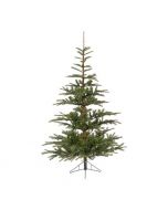 Novogodišnja jelka Nobilis fir 150cm-102cm Everlands 68.9200