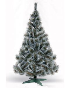 Bor sa belim vrhom iglice 220cm