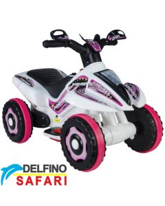 Motor na akumulator Delfino Safari Princess