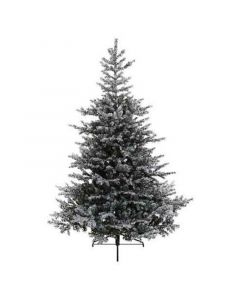 Novogodišnja jelka Grandis fir snowy 180cm-132cm Everlands 68.9761