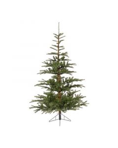 Novogodišnja jelka Nobilis fir 150cm-102cm Everlands 68.9200